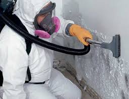 Best Water Damage & Mold Remediation  in Upland, PA